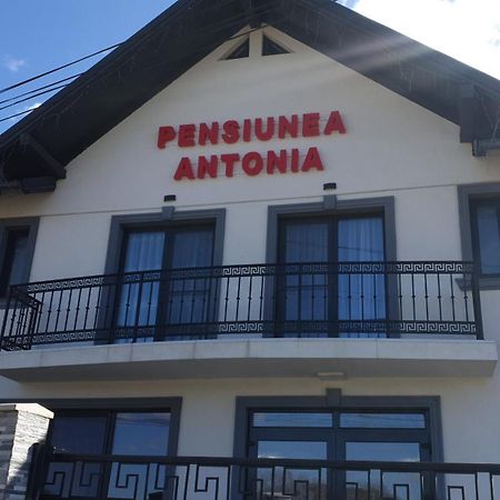 Pensiunea Antonia Sighetu Marmaţiei Esterno foto