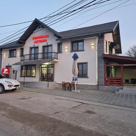 Pensiunea Antonia Sighetu Marmaţiei Esterno foto