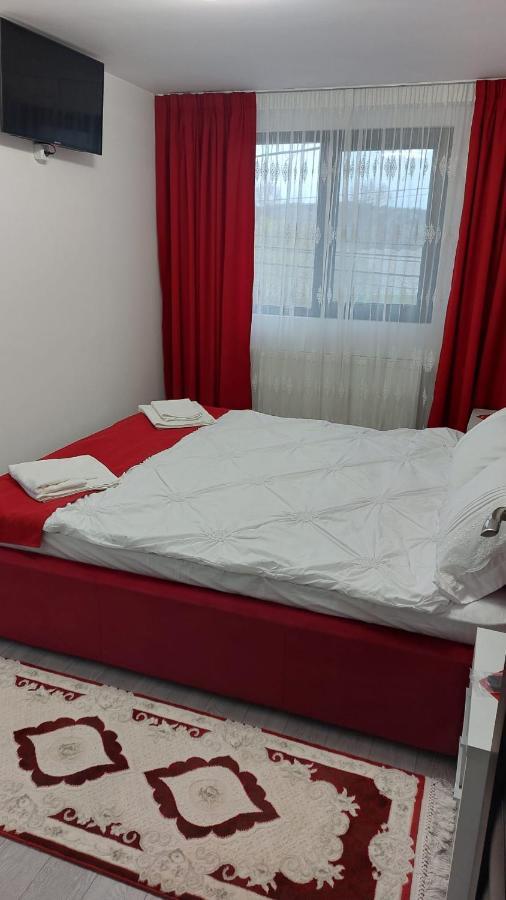 Pensiunea Antonia Sighetu Marmaţiei Esterno foto