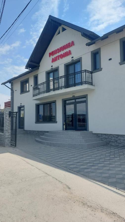 Pensiunea Antonia Sighetu Marmaţiei Esterno foto