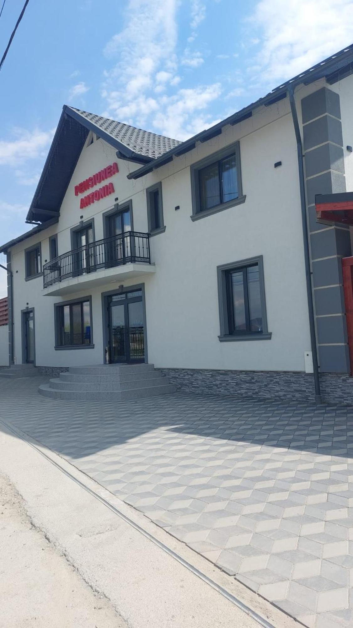 Pensiunea Antonia Sighetu Marmaţiei Esterno foto