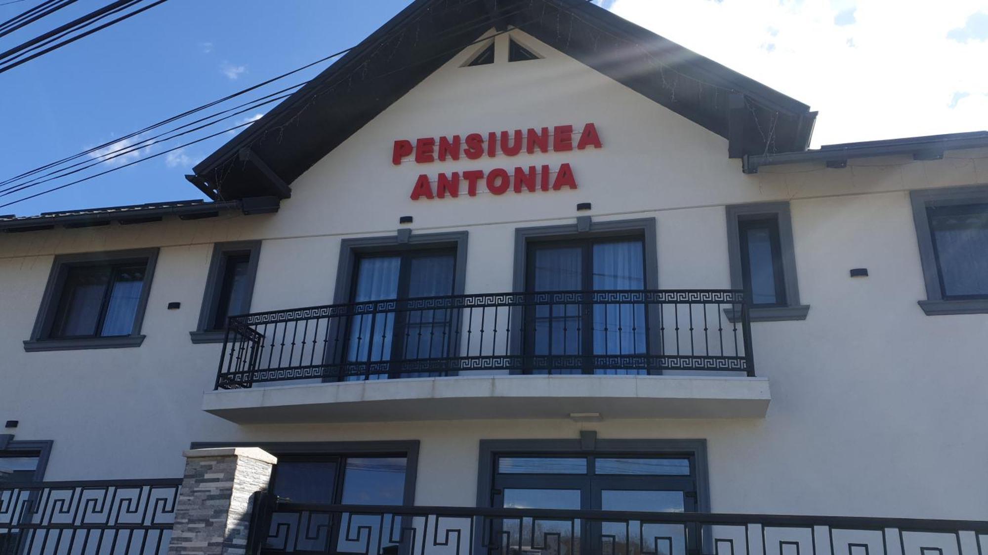 Pensiunea Antonia Sighetu Marmaţiei Esterno foto