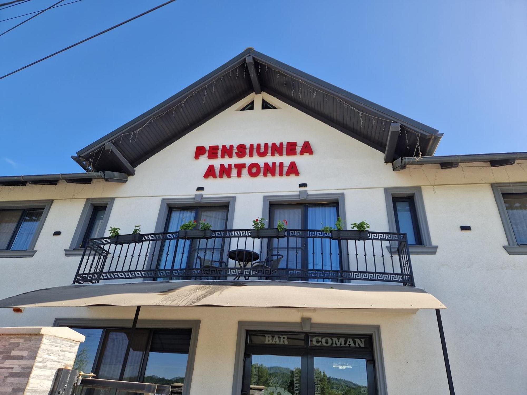 Pensiunea Antonia Sighetu Marmaţiei Camera foto