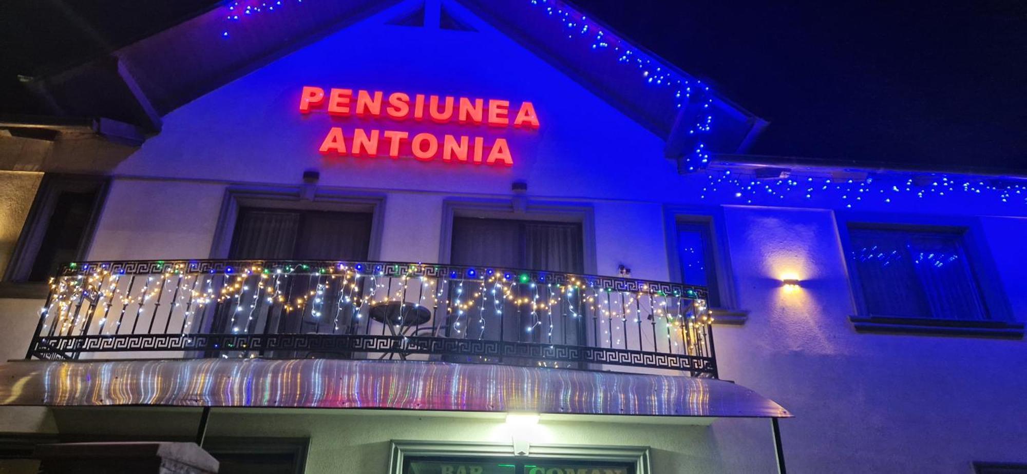 Pensiunea Antonia Sighetu Marmaţiei Esterno foto